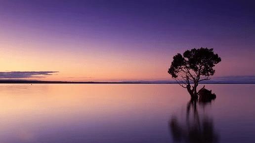 肝脏|50 条生理常识，比金子还值钱！（建议收藏）