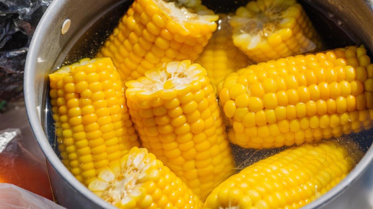 煮玉米时，直接放入水中煮就“废了”，牢记3点，玉米又香又糯