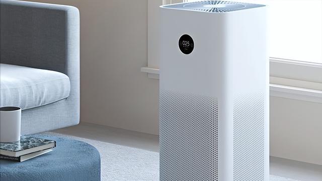 装修后除甲醛，有7种物品既简单还实用，另外还有3种方法