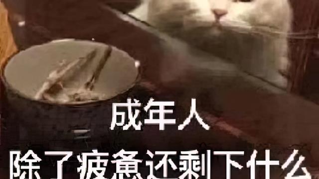 跳槽|给所有普通打工人的忠告：2022不要裸辞，不要任性，不要轻易跳槽