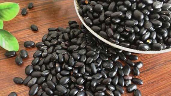 黑豆|拨云见日，这些好习惯可培育优质卵泡摆脱不孕困扰