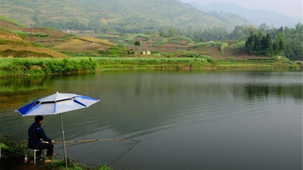 芸豆|春钓草鱼，用什么饵是关键，只要饵料对口，大草鱼并不难钓！