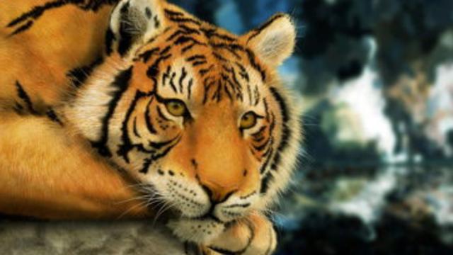 制造业|属虎人今年365天虎虎生威，手握大好机会，脚踩机遇攀登成功