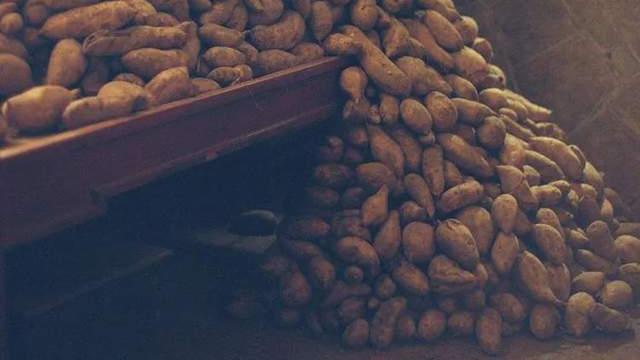 辣条|过年最肥美的食物，你能撑几天？