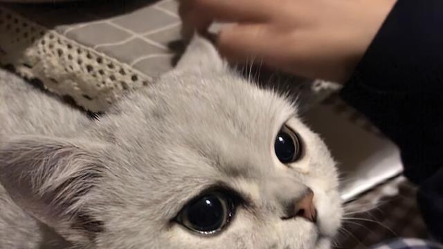 求职|“菜场售货员也要四十岁以下的”：中年危机的残酷，远超我想象