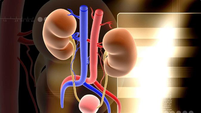 尿毒症|如何做到终生不发生尿毒症？医生提醒：这5个问题至关重要