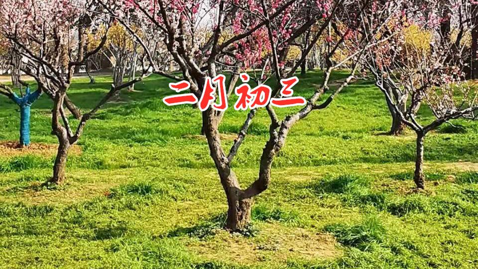 四季豆|二月二吃龙食，二月初三“文昌诞”，吃啥更有讲究，事业学业有成