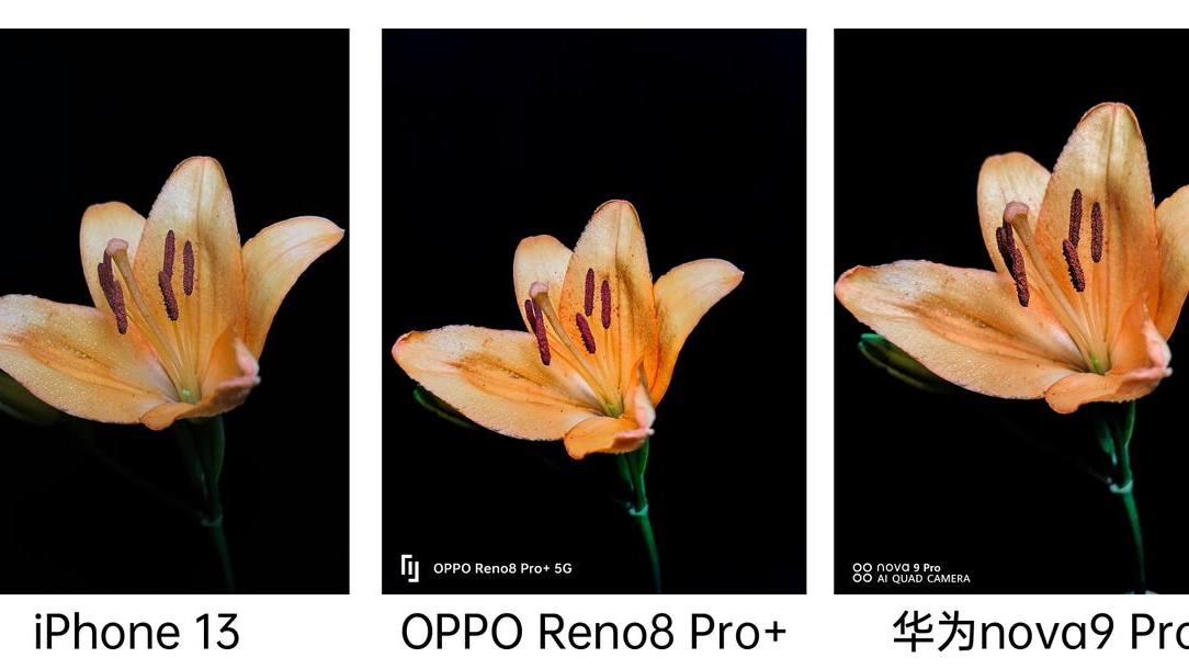 iphone13|苹果、华为、OPPO拍照对比，看看谁拍照最强？