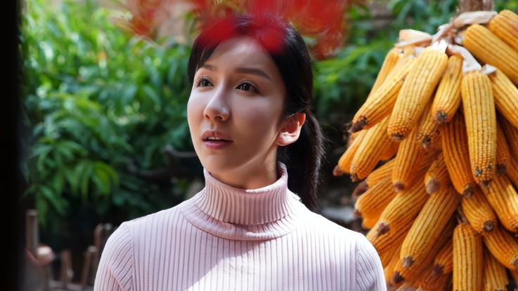 央视|央视再出王炸神剧，郑晓龙新剧定档，《高兴的酸甜苦辣》全员戏骨