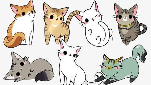 道系快穿|无CP硬核男主沙雕快穿爽文：《道系快穿》