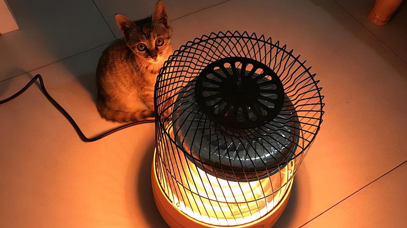 在冬季使用取暖“小神器”时，一定要注意使用安全哦。