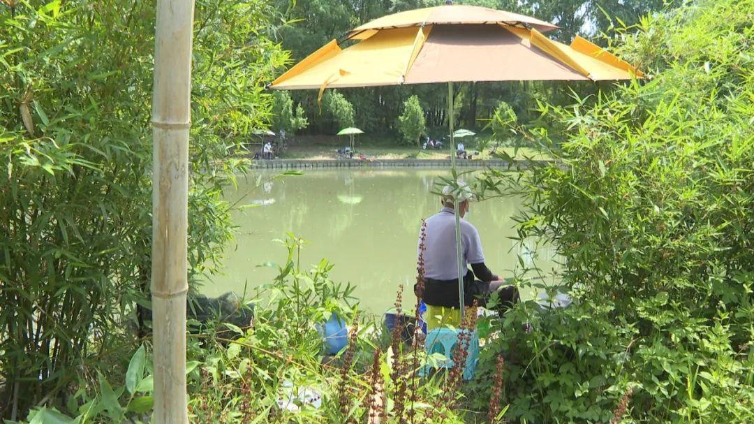 饵料|夏季垂钓安全第一，这些注意事项请牢记→