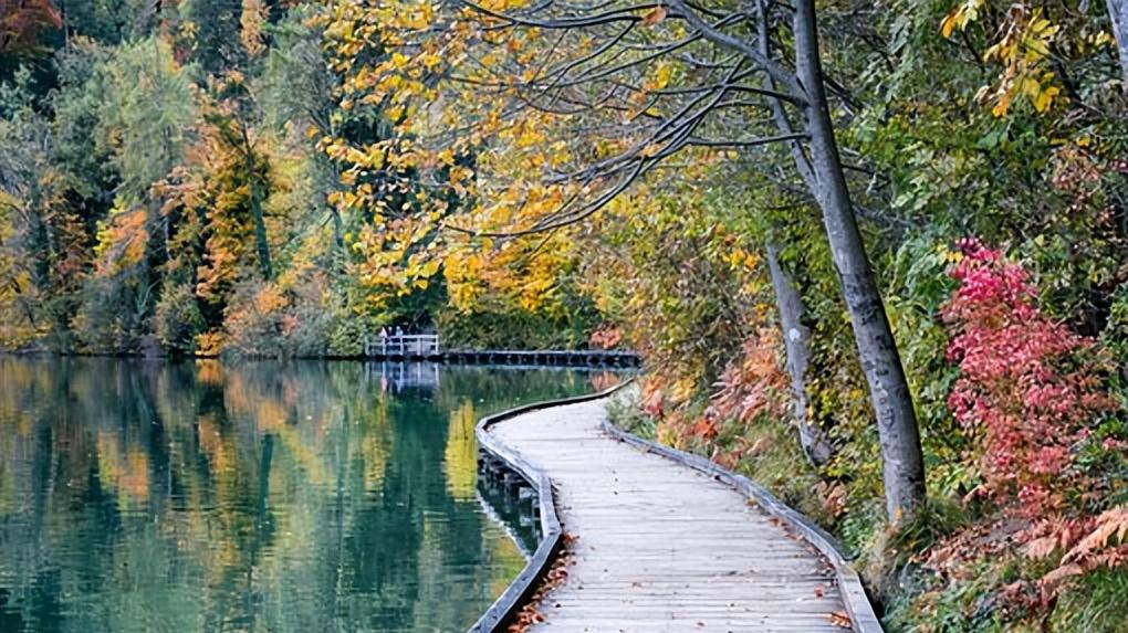 |职场中，有三句话，领导基本上不会主动说，但是你必须得明白