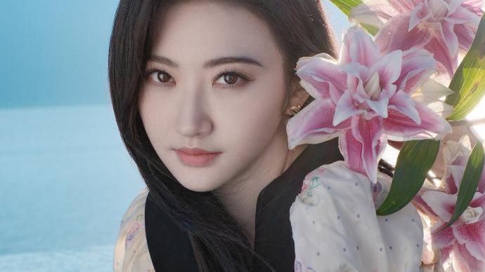 刘涛|靠山倒塌的女明星，董卿走上刘涛的老路，车晓才是“人间清醒”