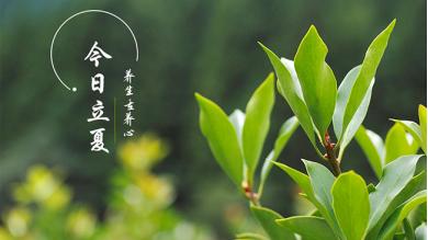 冬瓜|立夏这么吃，夏天会过得很舒服！