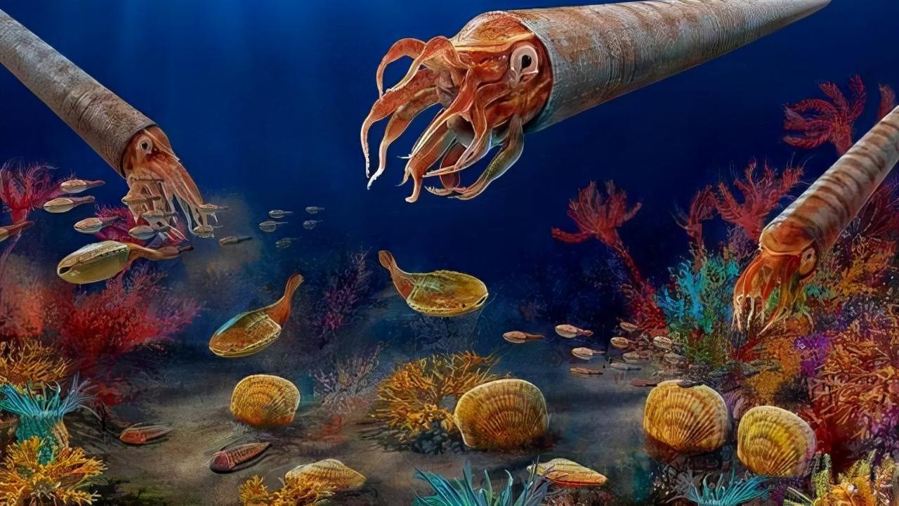 4.9亿年前，什么造就多姿多彩的奥陶纪生物大辐射？