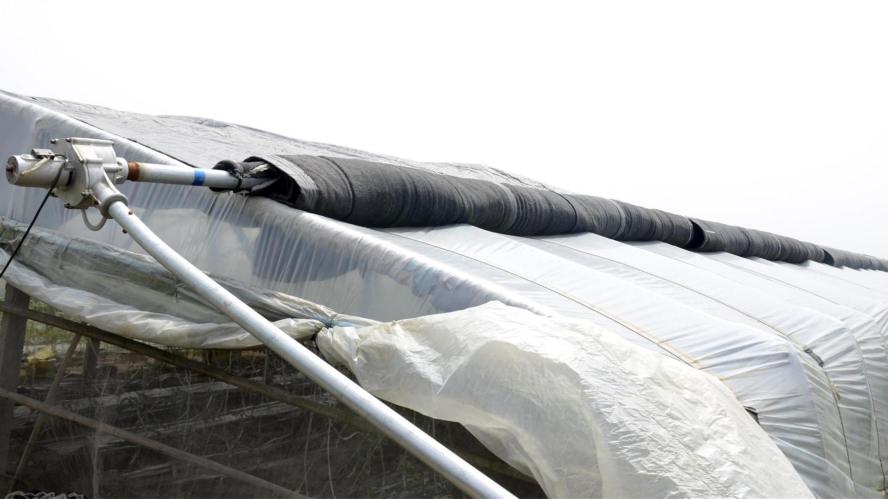 荣耀|国产智能大棚总成本比国外低80%，一部手机无人管理，效益提升8倍