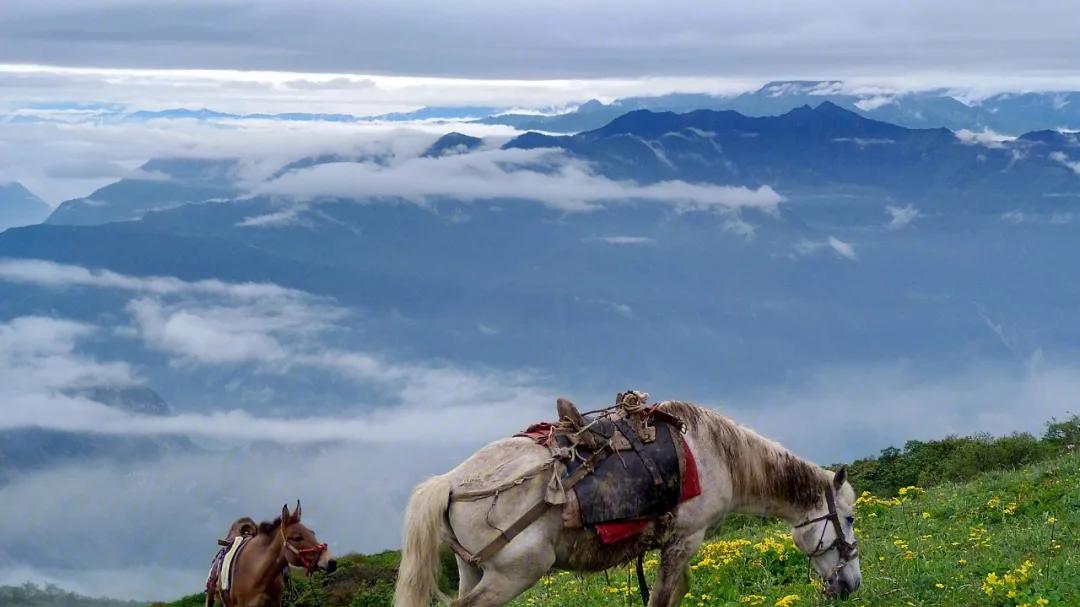 周末放松好去处，三五知己四六八两，微醺好去处！