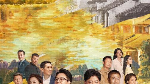 刘奕君演技惊艳，央视又抓到了一部黑马剧