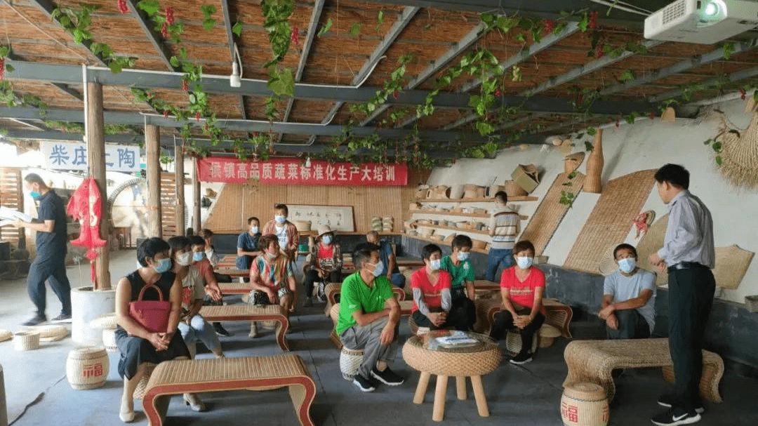 高素质农民、新型职业农民、合作社带、农业局赴寿光设施蔬菜培训参观考察