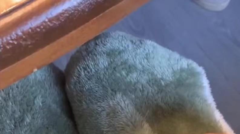 女子蓬头垢面穿睡裤出门相亲，抬头后捏紧裤腿尴尬不已：全是帅哥