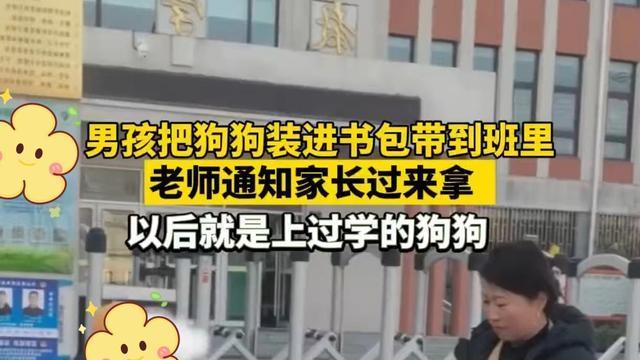 男孩把狗狗装进书包带去学校，老师通知家长认领，母子俩举动亮了
