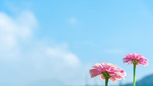 人生，冥冥之中，都有定数