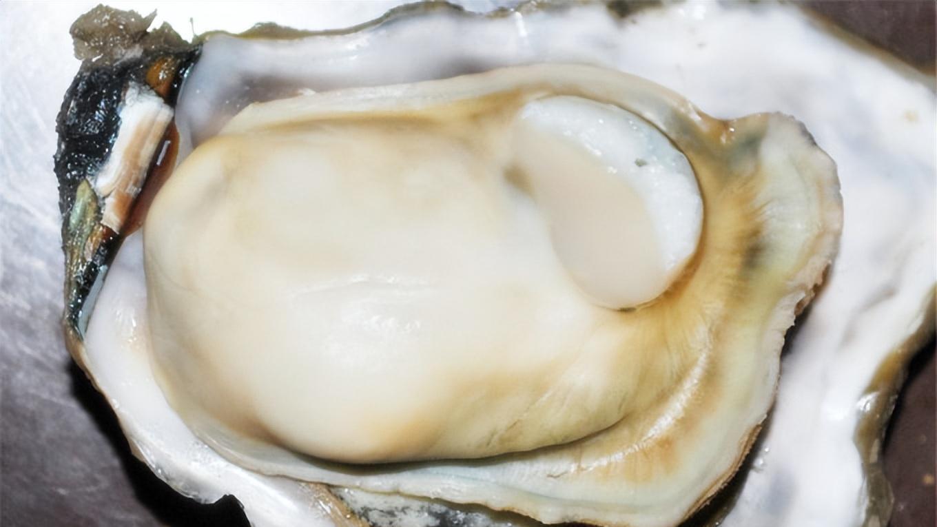 日照美食攻略-美味佳肴做神仙