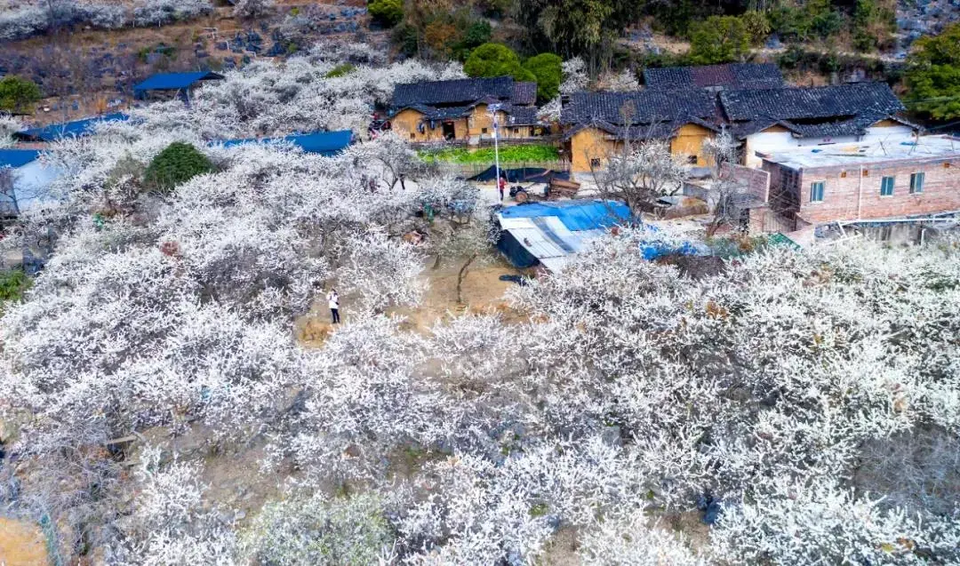 广州出发-清远1天游，打卡阳山水浪花谷+杜步大果山楂花基地
