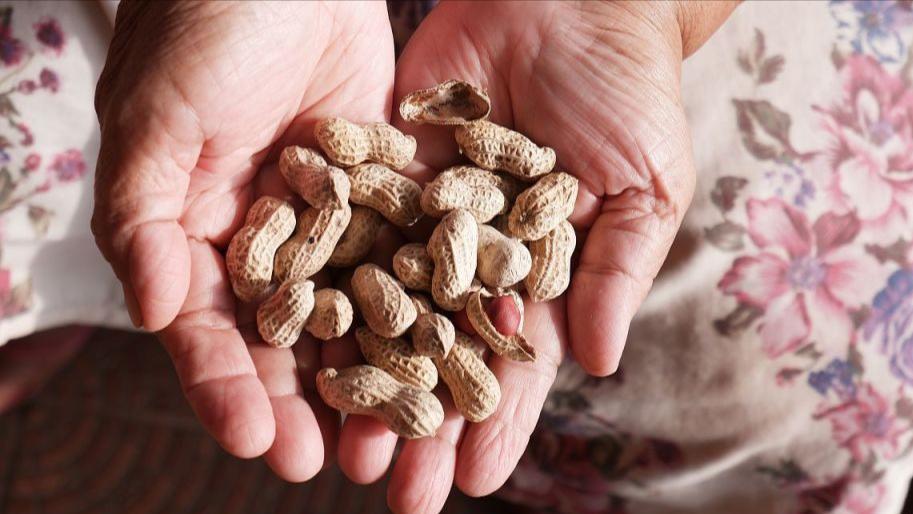 花生“生吃健脑，熟吃养胃”，但有6种人不要随便吃，早知为好