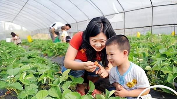 禁止村民在房前屋后种黄瓜西红柿等蔬菜？当地回应：已要求纠正