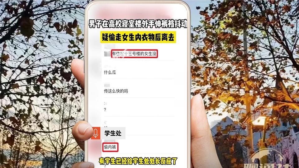 山东一高校女生晾晒的内衣疑被偷，监控下一男子将手伸入裤内抖动