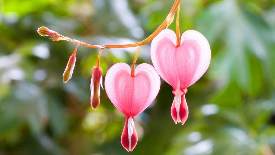 这些儿时哭着背完的古诗里，藏着治愈生活的良药