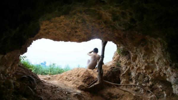 "探秘孔雀山, 一个少年与狡猾的狐狸, 之间的神秘故事"