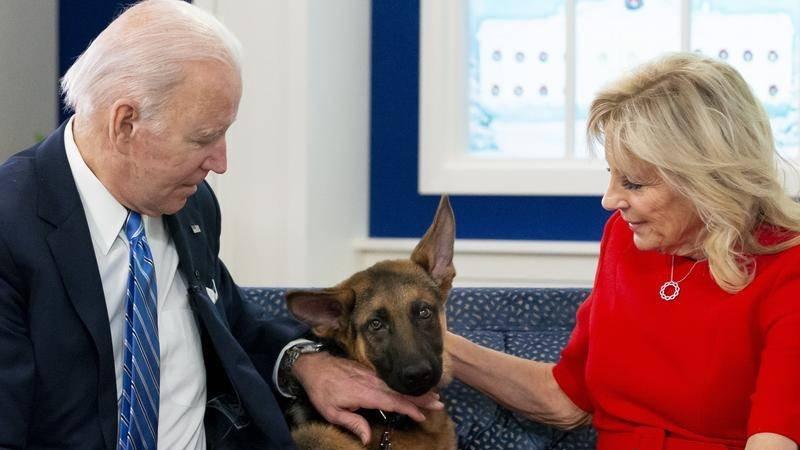 拜登的爱犬今年已咬伤11名特勤局特工