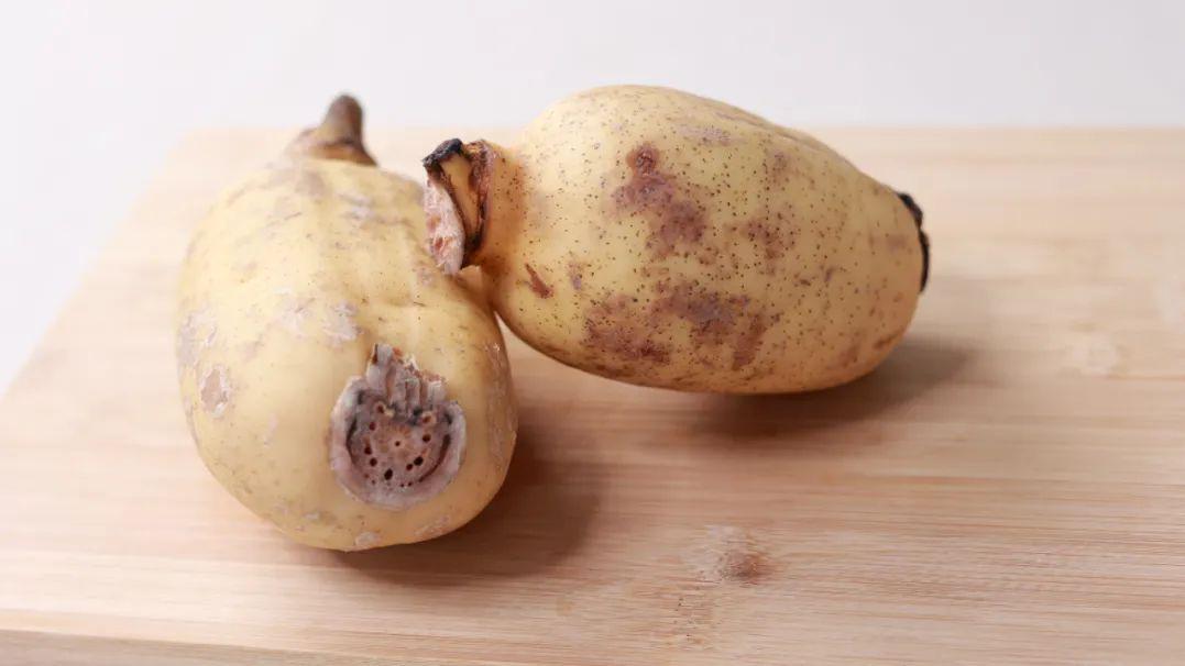 这种常见的食物，却是“止血圣药”，很多人经常吃，可能都不知道