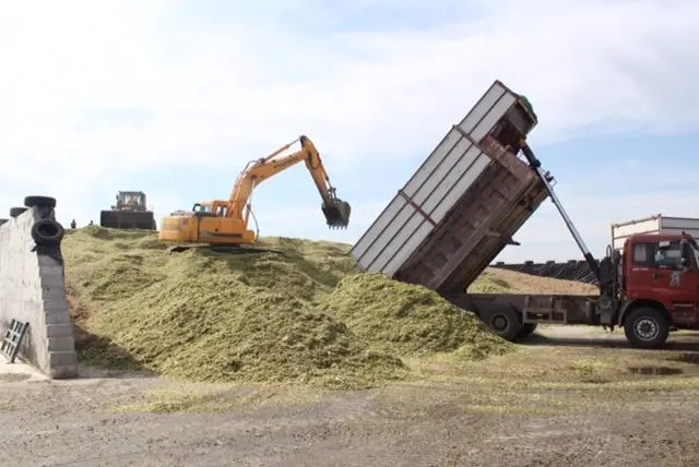 毁青苗，卖青储，谁都可以争取利益，为什么唯独农民不可以？