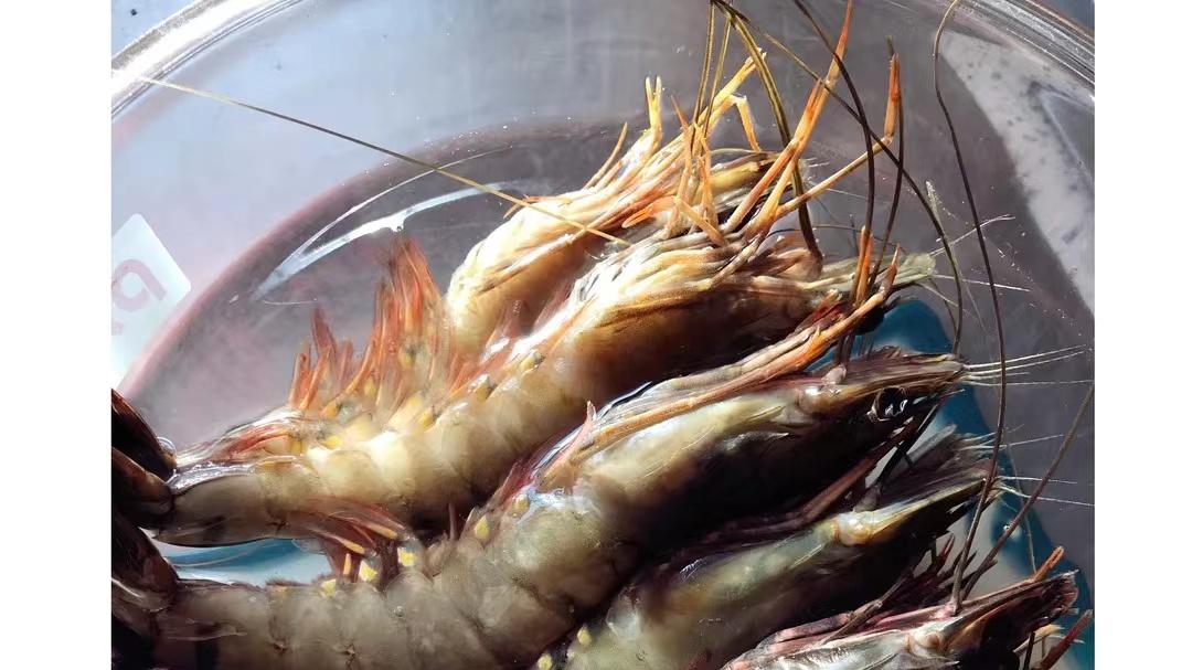 谁做都好吃，夏日开胃菜芥末虾球