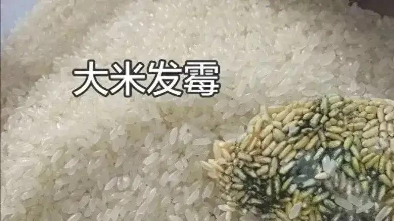 湖北一学校食堂使用霉变生虫的大米，才被罚一万人民币！