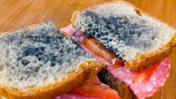 馒头放冰箱冷冻会滋生黄曲霉素，易致癌，不能吃？早点了解才安心