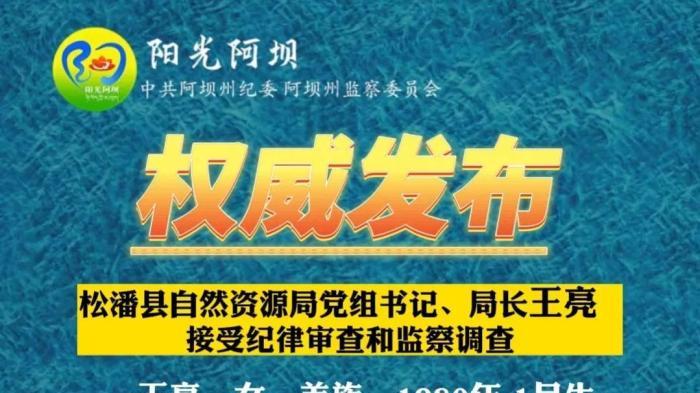 四川第一美女局长被查，23岁副科，26岁正科，没有守住内心底线！