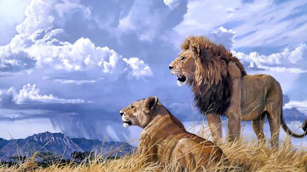 放弃王位，传承遗产，草原上的狮王故事