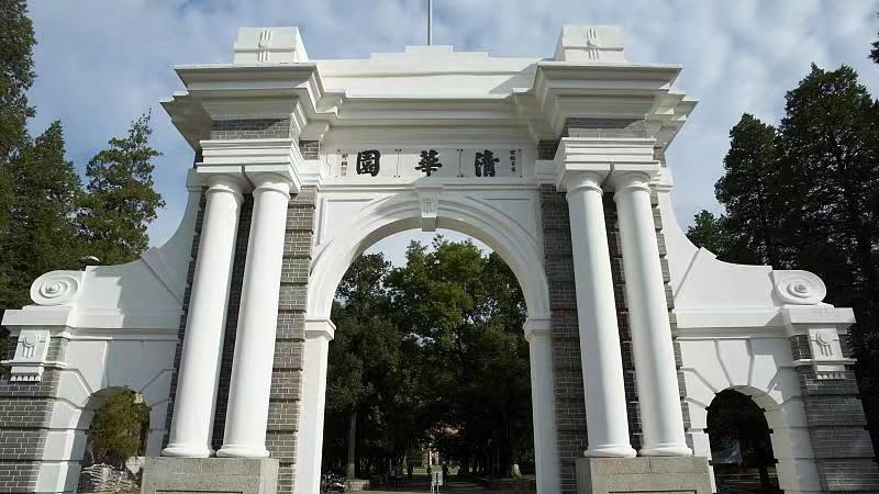 清华才女王丽红，远嫁非洲生五子，父亲气得一夜白头，如今怎样？