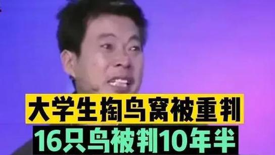 央视张泽群嘲讽法律不公平：大学生掏鸟窝判10年，贪官几十亿也是判10年