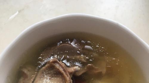 一鸽胜九鸡，炖鸽子汤的正确方式