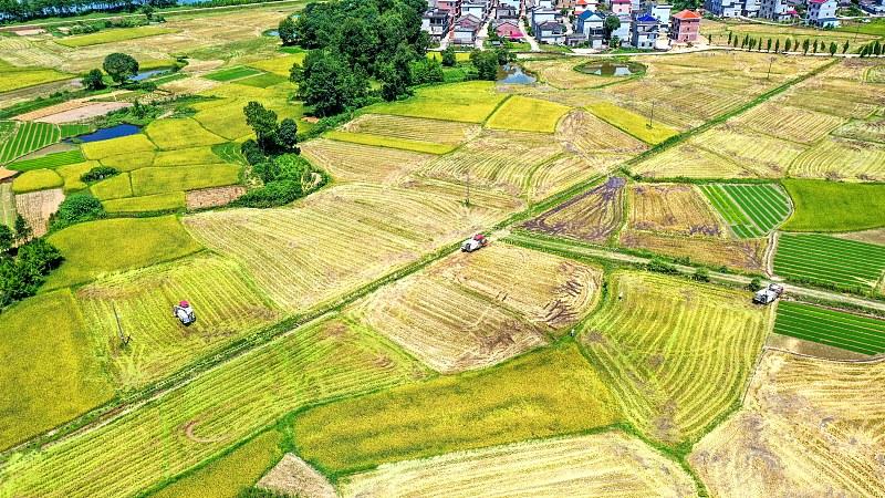 中央一号文件明确：农村将有序推动这三项工程，农民们有盼头了！