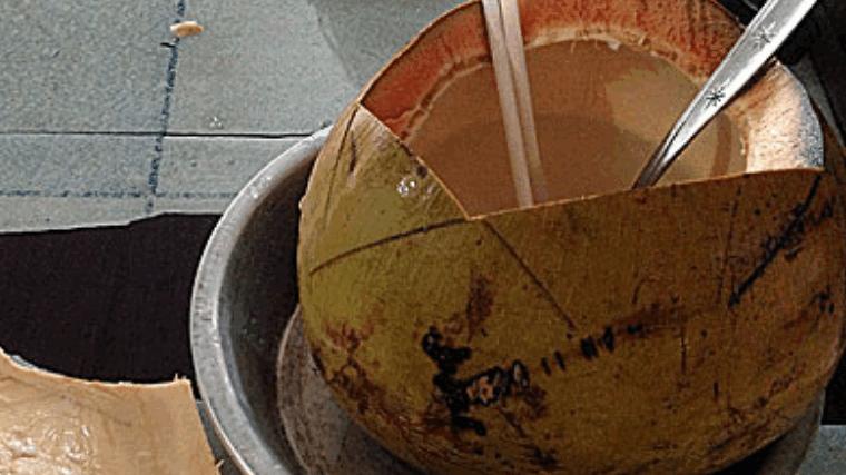 密克罗尼西亚的椰子美食：海岛生活的味道，椰子的独特魅力