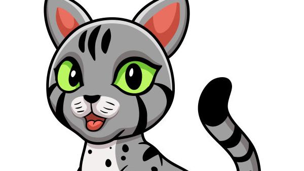 百变狸猫琳琅，变化与勇气，教会我们更多