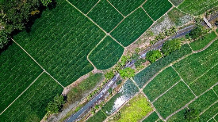 智慧农业的崛起：农业遥感技术在应对未来挑战中的关键作用