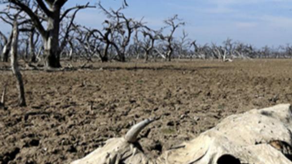 "华丽的泰雷喀, 一个神秘的传说，带来智慧与繁荣"